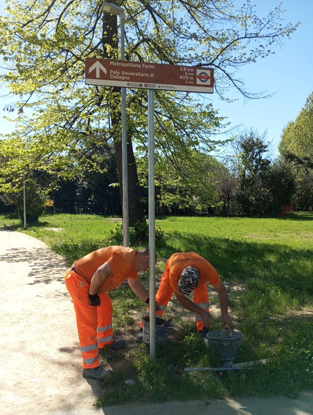 Installazione Segnaletica Ciclabile per Bici a Collegno