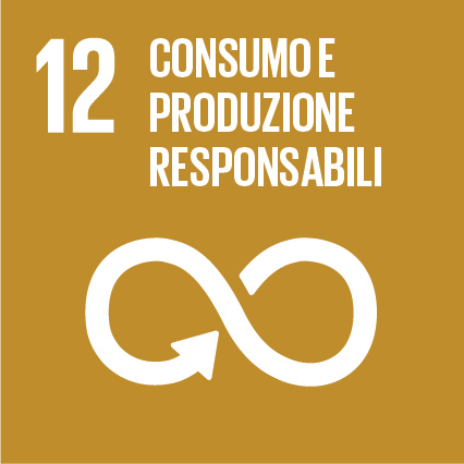 Sustainable Development Goal 12