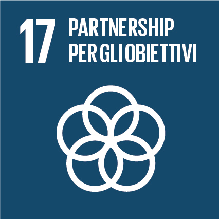 Sustainable Development Goal 17